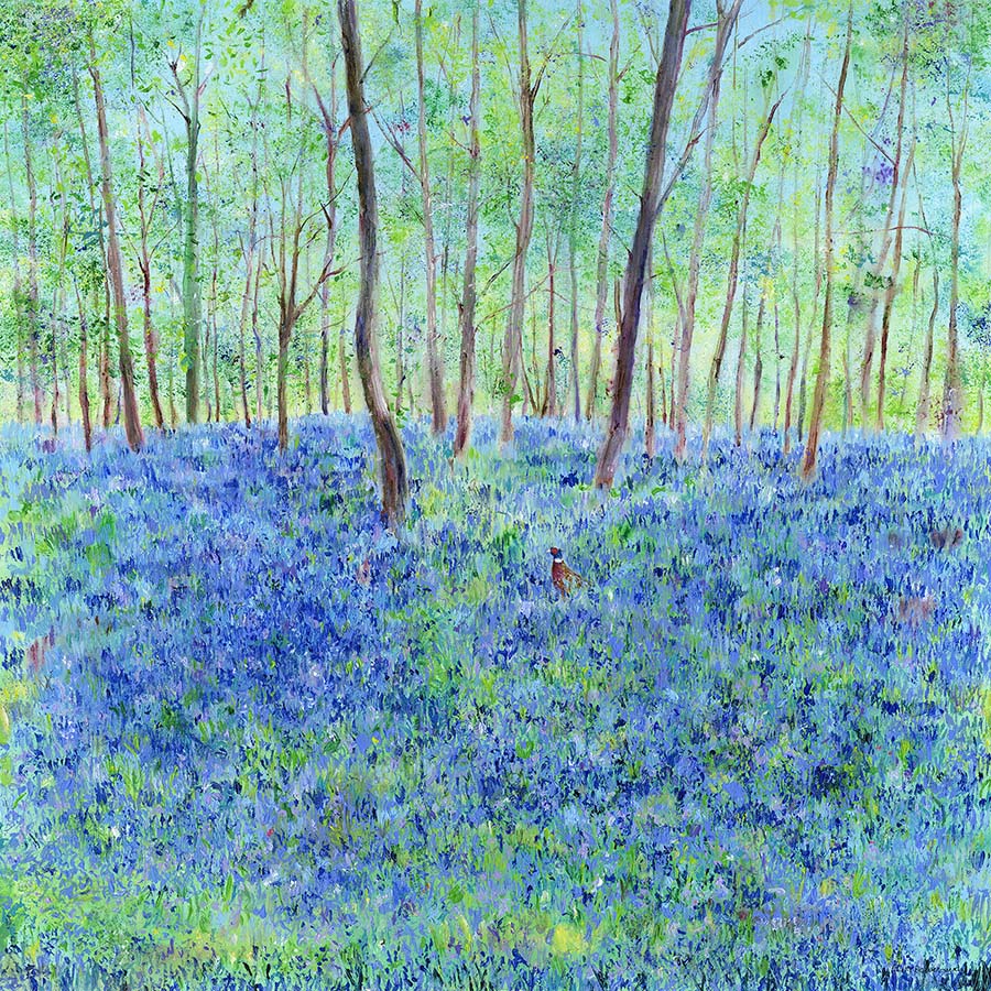 Pheasant in an Ethereal Bluebell Wood (Limited Edition Canvas Print)