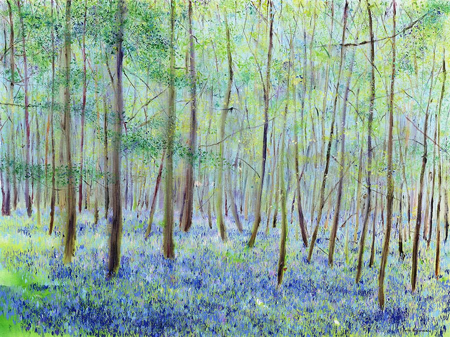 Deep in the Bluebell Woods (Limited Edition Canvas Print)