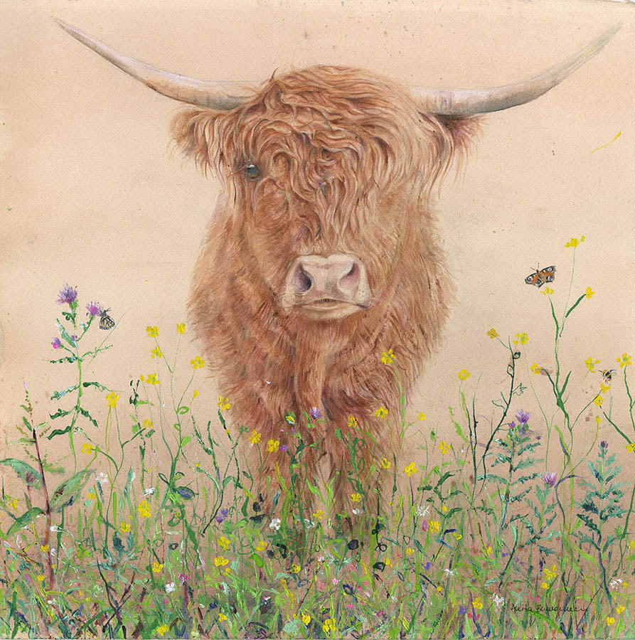 Highland Cow in Wildflowers