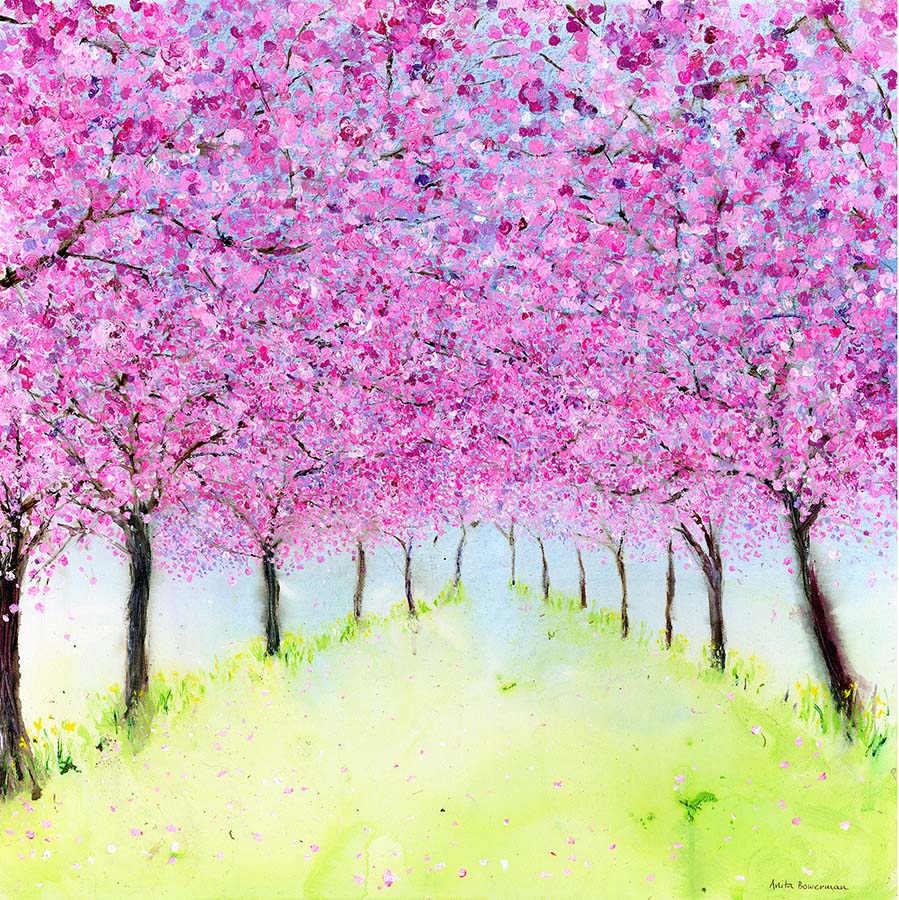 Springtime Cherry Blossom and Daffodils (Limited Edition Canvas Print)