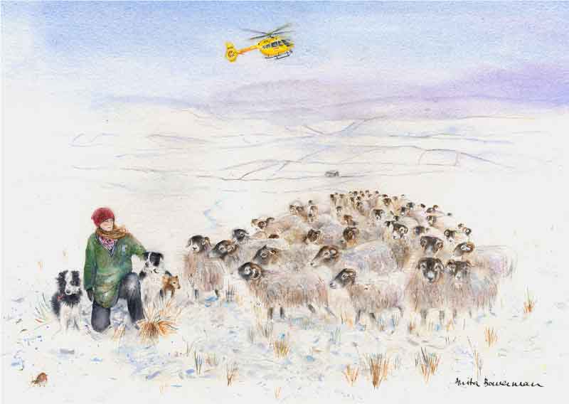 Amanda Owen, The Yorkshire Shepherdess and Her Flock at Swaledale, Giclée print