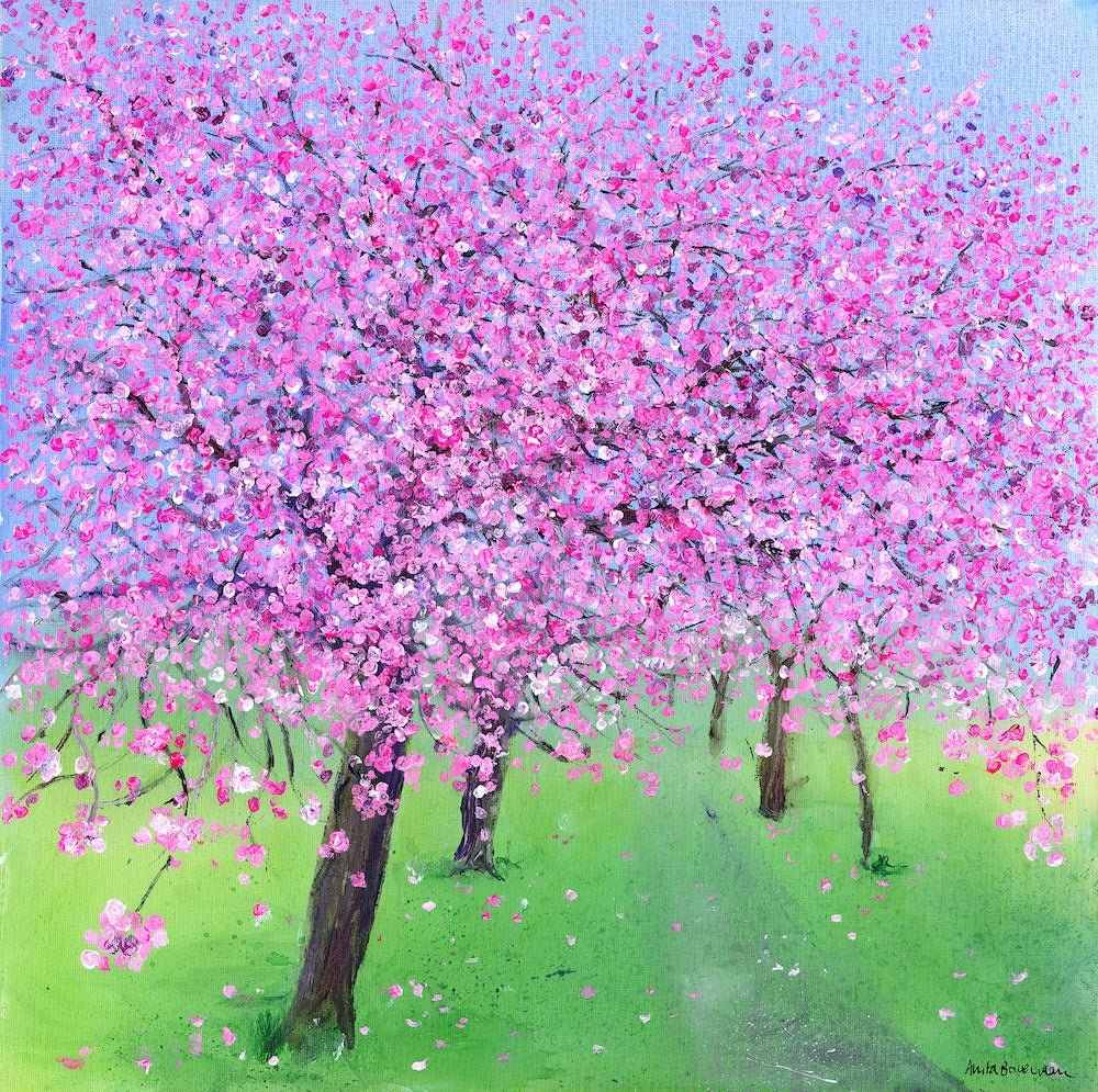 Painting Cherry Blossom outside on Harrogate’s Stray parkland