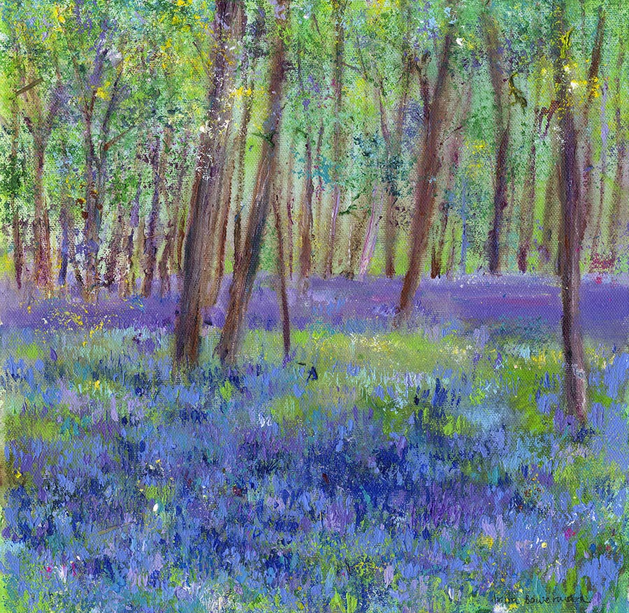 Woodland and Bluebells