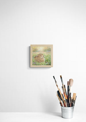 First Light at Dawn Hare (Original canvas - framed)