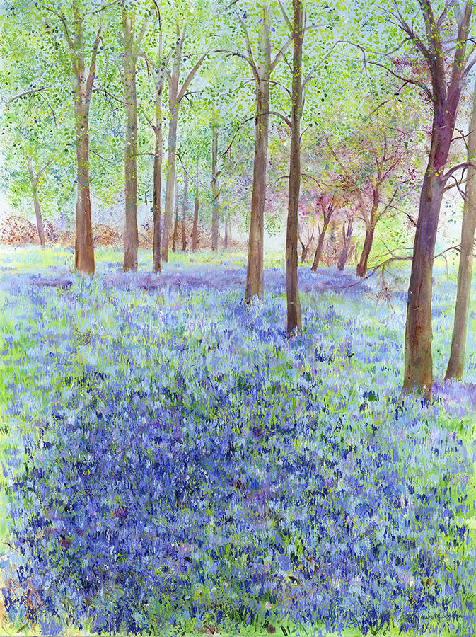 Bluebell Wood Vista (Limited Edition Canvas Print)