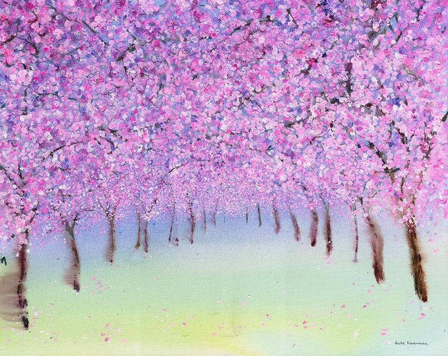 Cherry Blossom Parade (Limited Edition Canvas Print)