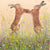 Dance of the Hares