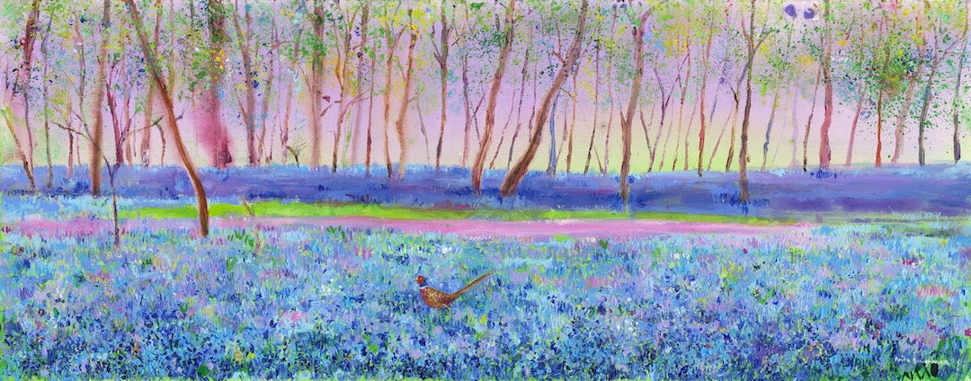 Echoes of the Woodland Floor