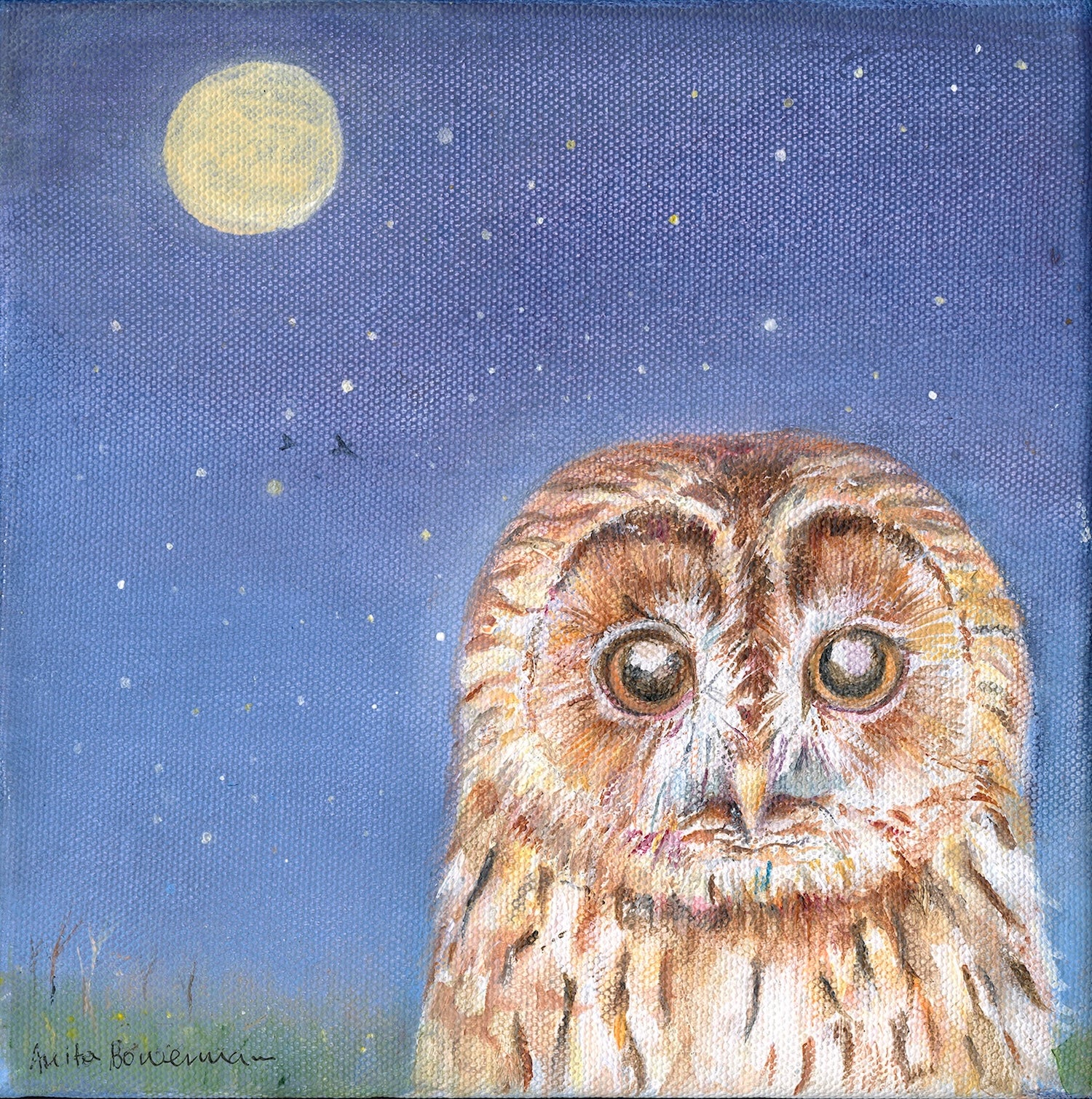 Moonlit Meadow Watcher (Original canvas, framed)