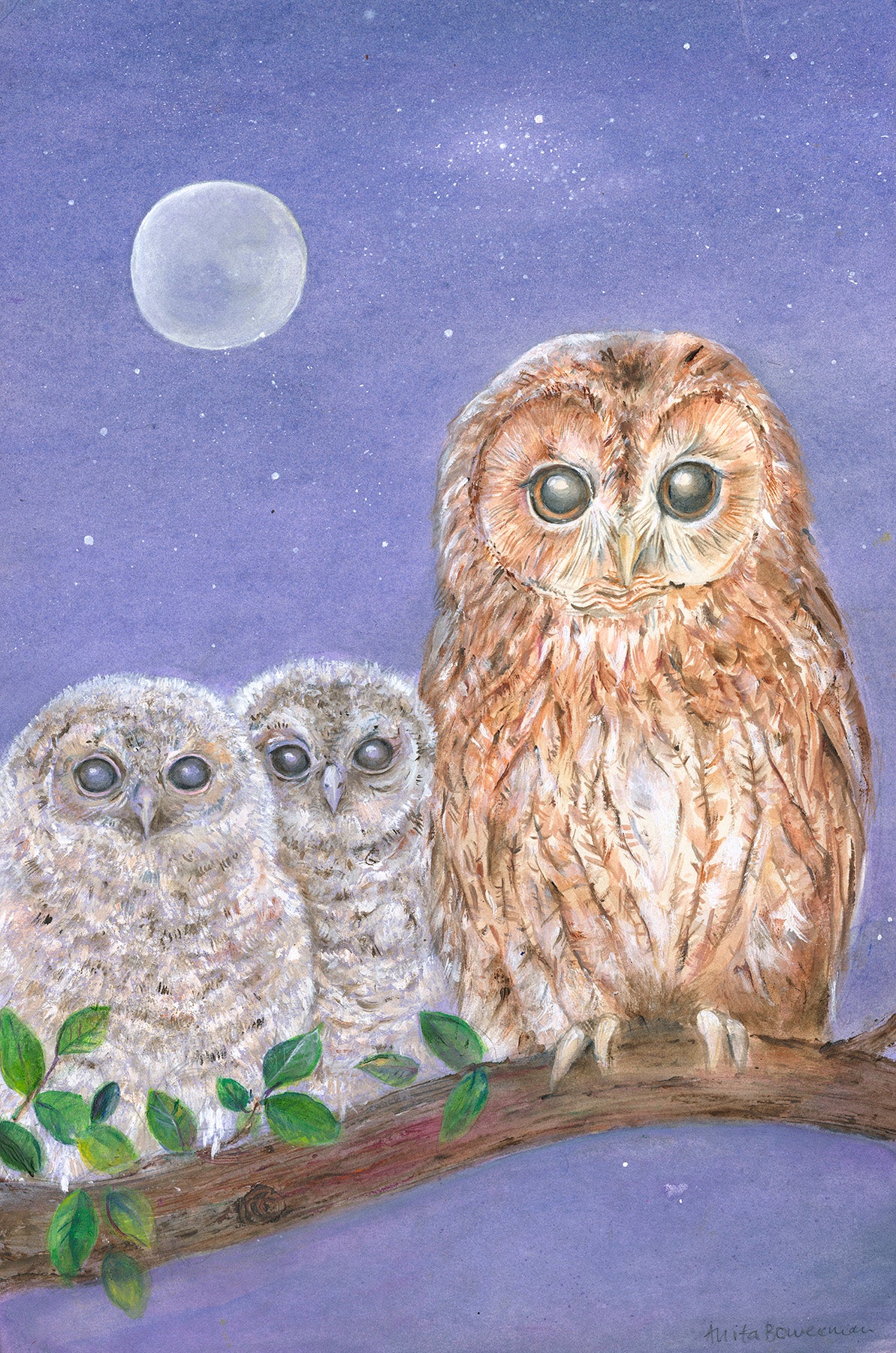 Moonlit Tawny Owl Family (original, framed)