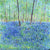 Pheasant in an Ethereal Bluebell Wood (Limited Edition Canvas Print)