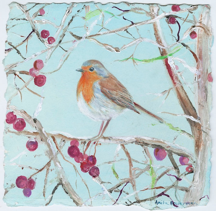 Winter Robin