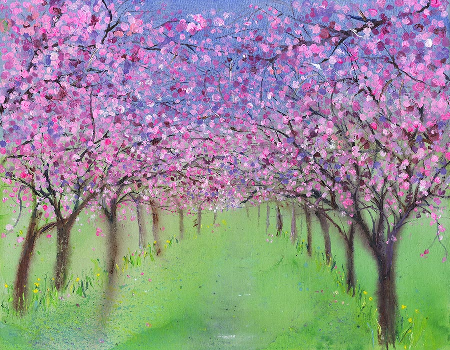 Springtime Cherry Blossom