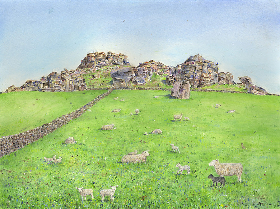Springtime Sheep on Almscliffe Crag (Limited Edition Giclée Print)