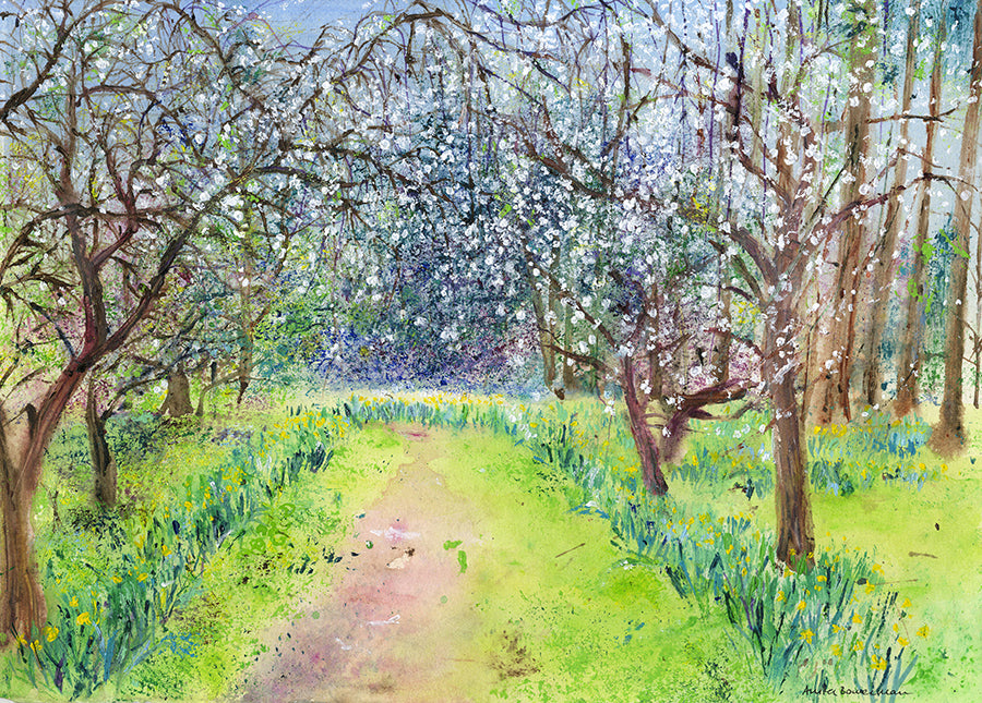 White Cherry Blossom and Daffodils Pathway (Original Painting, Unframed)