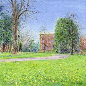 Wild Narcissi at Newby Hall (Original, Unframed)