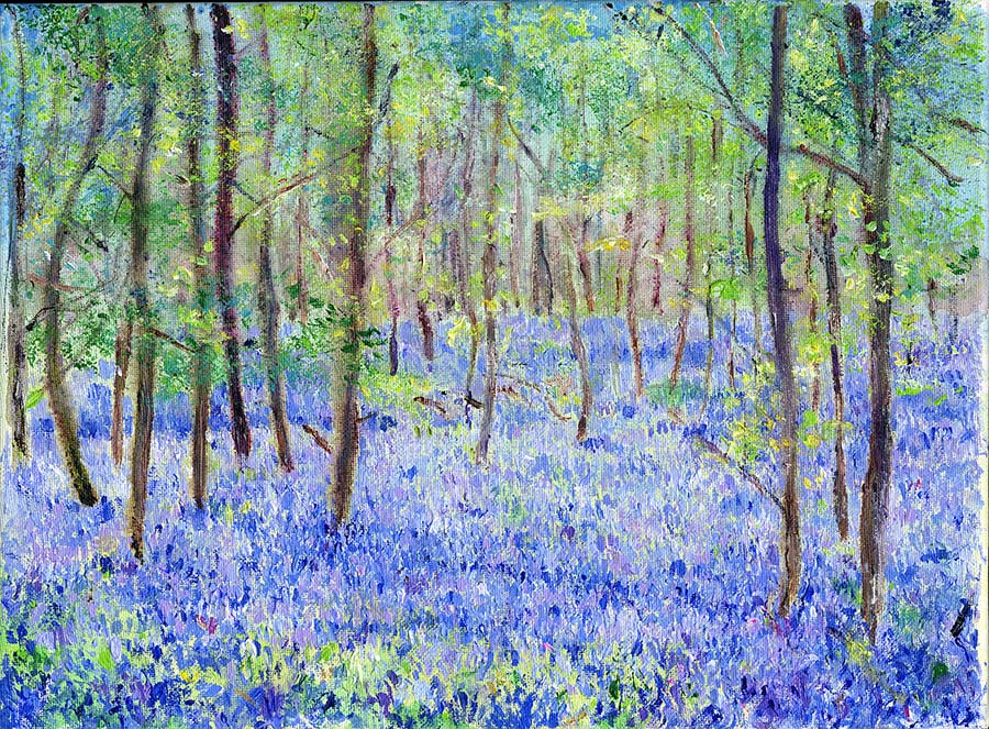 Bluebell Paradise (Limited Edition Canvas Print)
