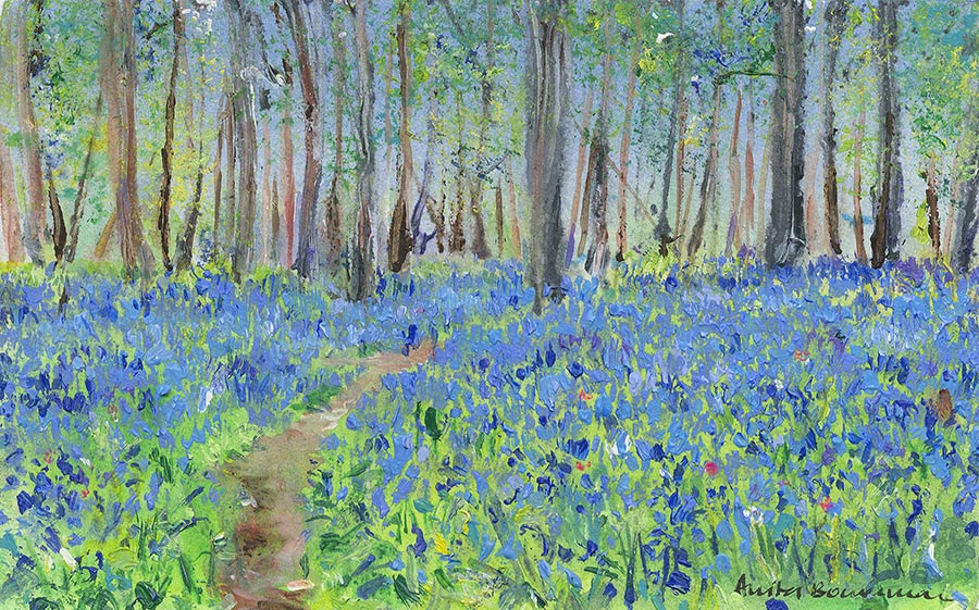 Bluebell Wood Pathway (Limited Edition Giclée Print)