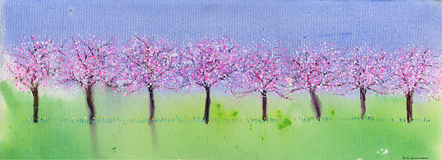 Cherry Blossom Pathway  (Limited Edition Canvas Print)