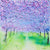 Cherry Blossom Tree Spectacle (Limited Edition Canvas Print)