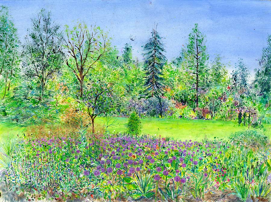 Alliums in the Main Border at RHS Garden Harlow Carr, May (5 x Greetings Cards)