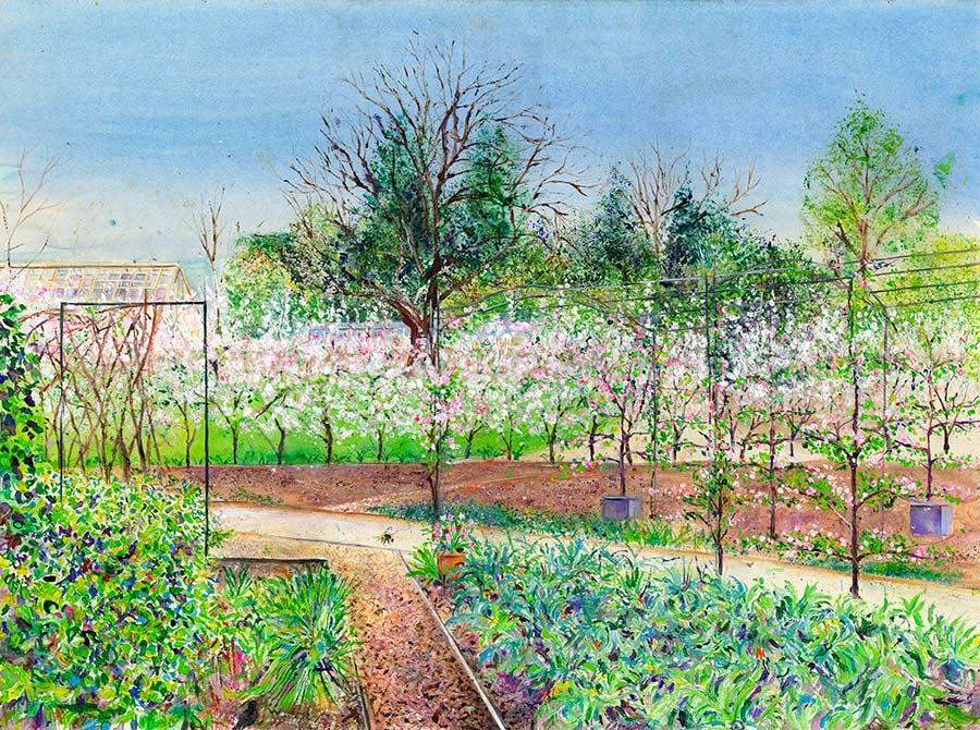 Apple Blossom Hedge in the Kitchen Garden at RHS Garden Harlow Carr, April (5 x Greetings Cards)