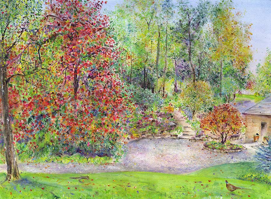 Crimson Glory Vine at RHS Garden Harlow Carr, October (5 x Greetings Cards)