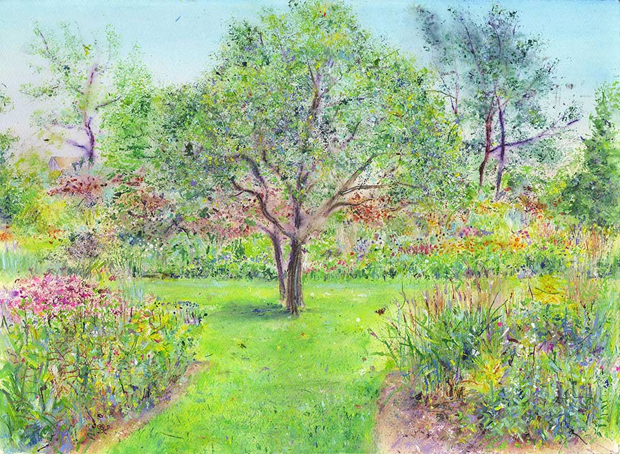 Maytenus Boaria Tree at RHS Garden Harlow Carr, September (5 x Greetings Cards)