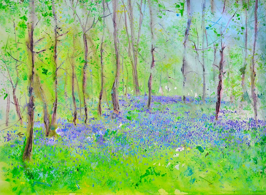 Sunlight and Bluebells (5 x Greetings Cards)