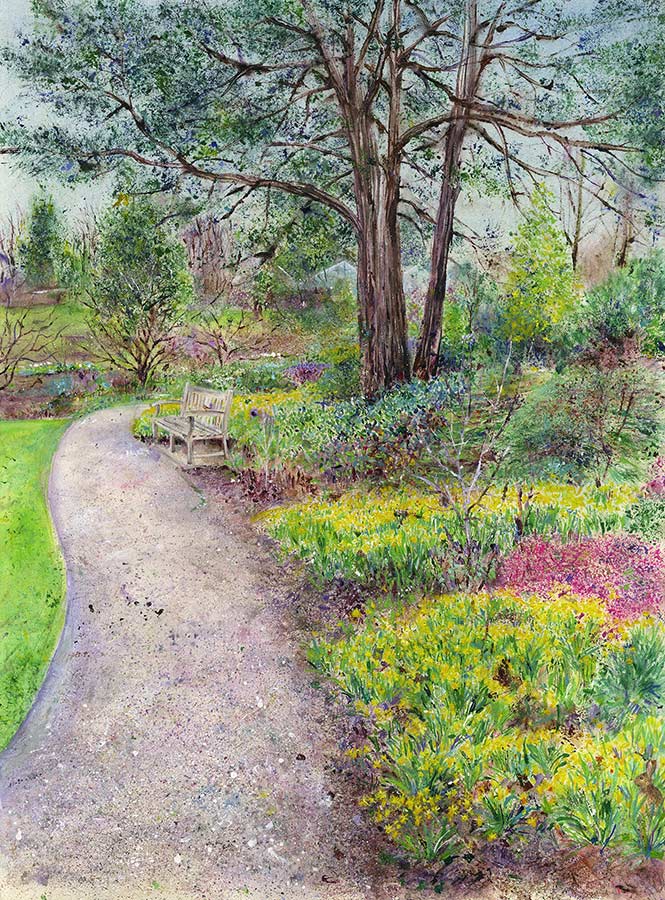 Tête-à-Têtes, Sandstone at RHS Garden Harlow Carr, February (5 x Greetings Cards)