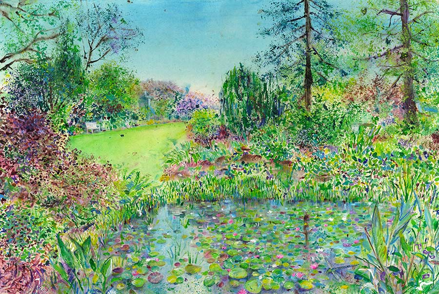 The pond at the Tarn RHS Garden Harlow Carr, July (5 x Greetings Cards)