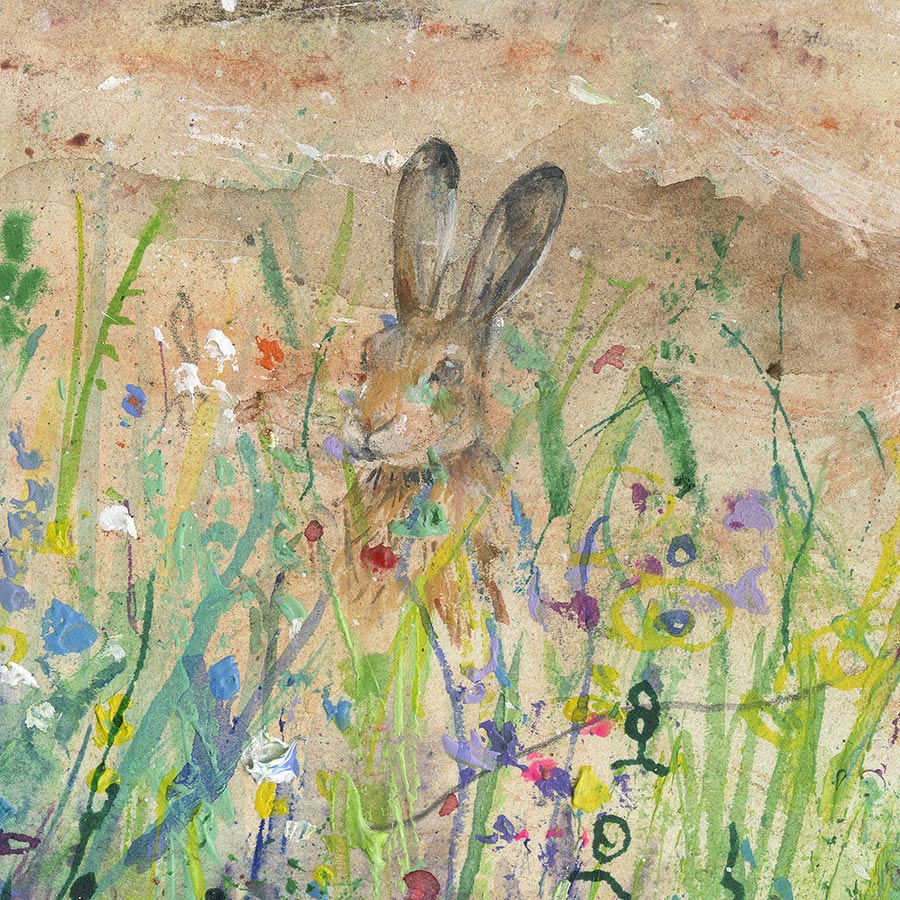 Hare in Summer (5 x Greetings Cards)