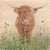 Highland Cow in Wildflowers (Limited Edition Giclée Print)