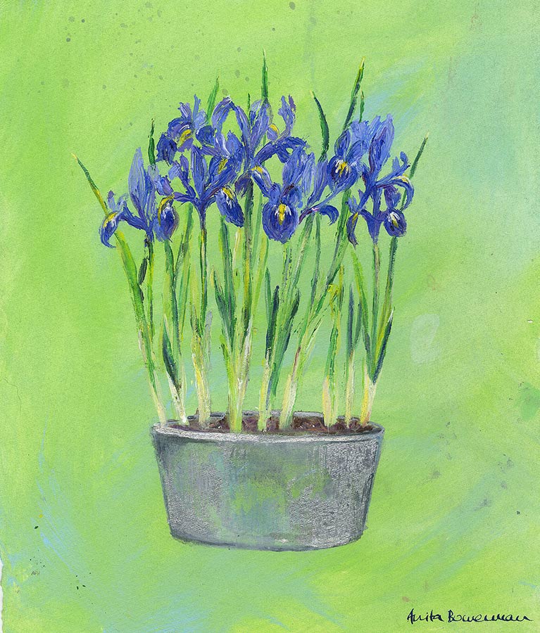 Impressionist Iris Flowers in a Zinc Planter (Original Painting, Unframed)