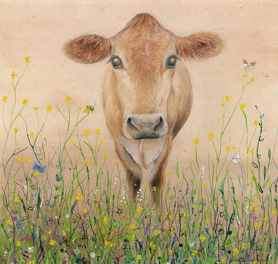 Jersey Cow in Wildflowers (Limited Edition Giclée Print)