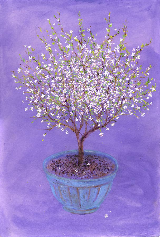 Cherry Blossom Burst (Limited Edition Giclée Print)