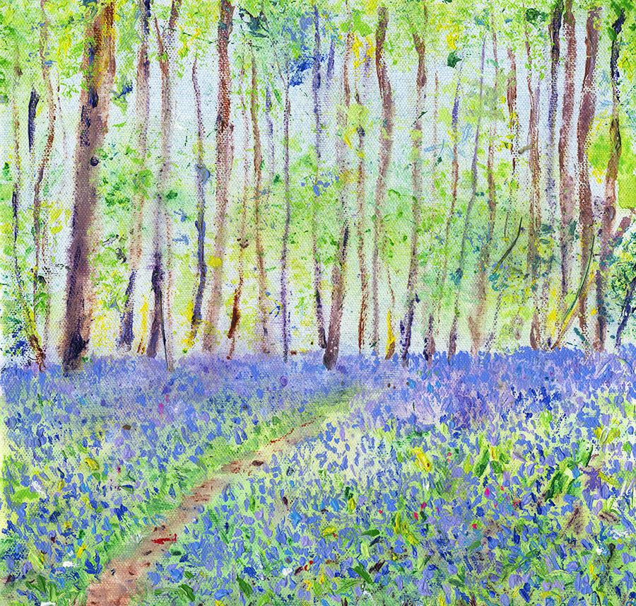 Bluebell Woods in Spring