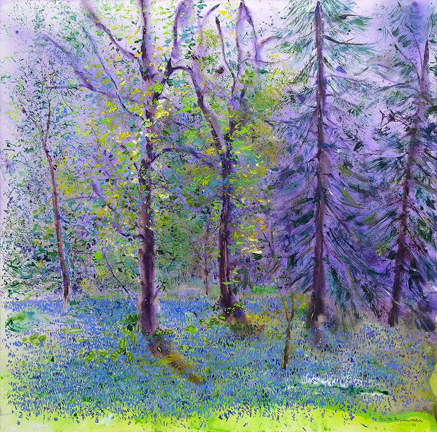 Ethereal Bluebell Wood