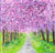 Pink Pink Cherry Blossom Tree Canopy (Open Edition Giclée Print)