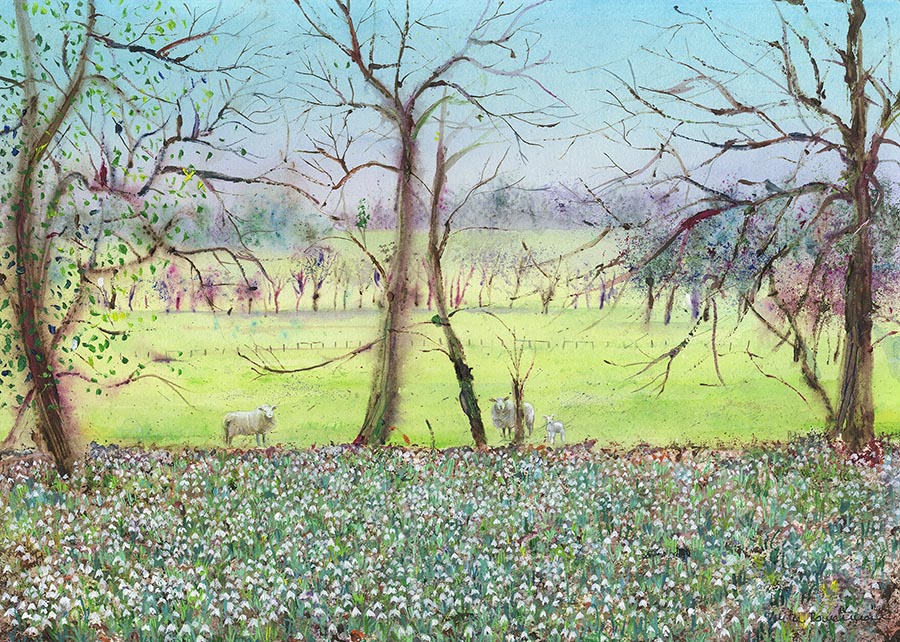 Snowdrops in Spring with Sheep (Original Painting, Unframed)