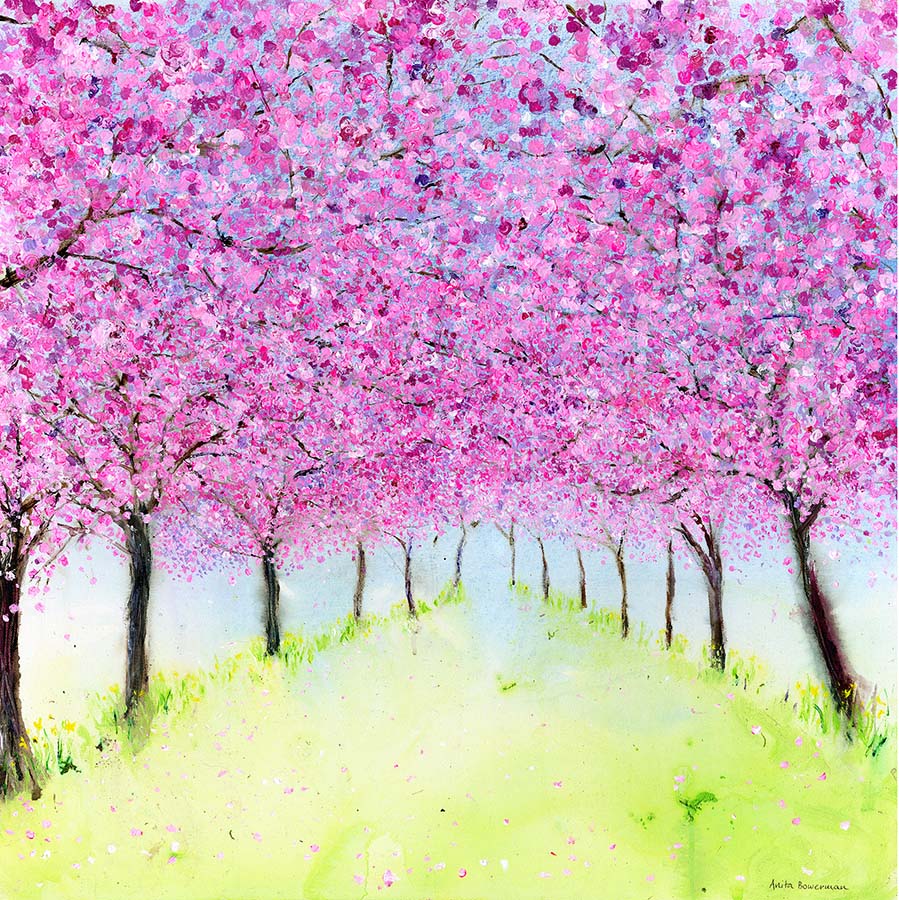 Springtime Cherry Blossom and Daffodils (Limited Edition Canvas Print)