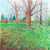 Springtime in the Valley Gardens, Harrogate (Limited Edition Canvas Print)