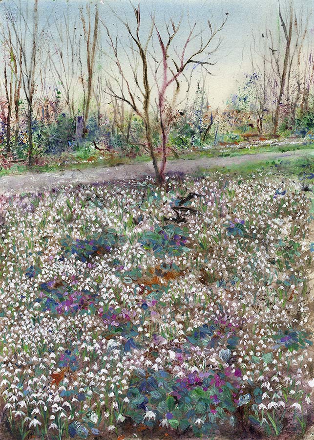 Woodland Snowdrop Flower Carpet (Limited Edition Giclée Print)