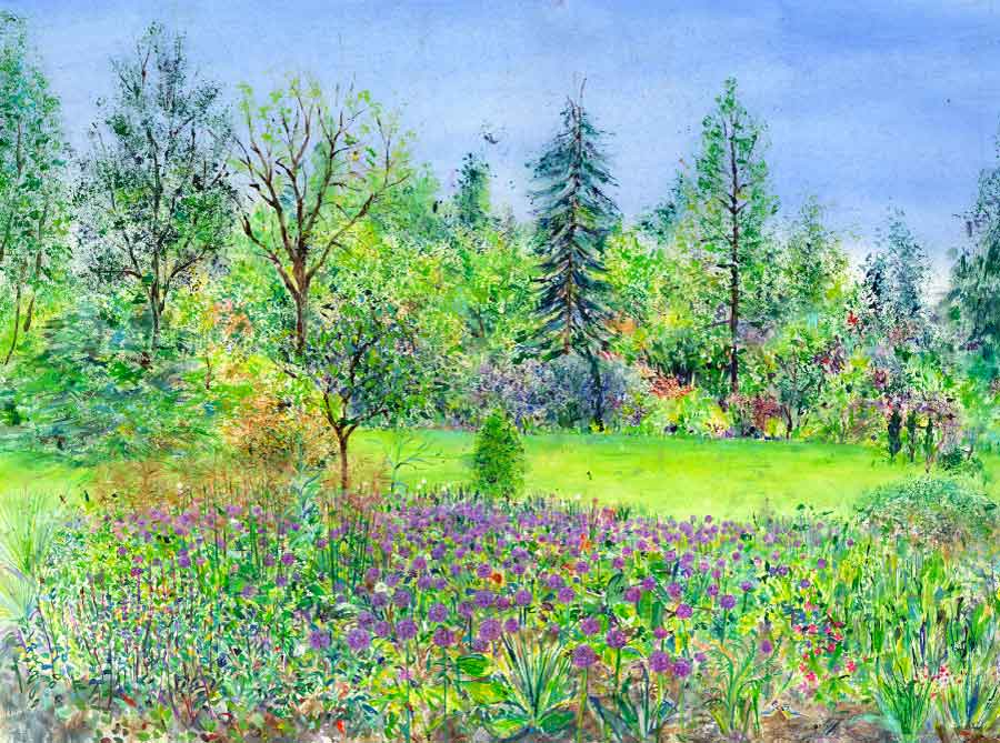 Alliums in the Main Border at RHS Garden Harlow Carr, May, original painting