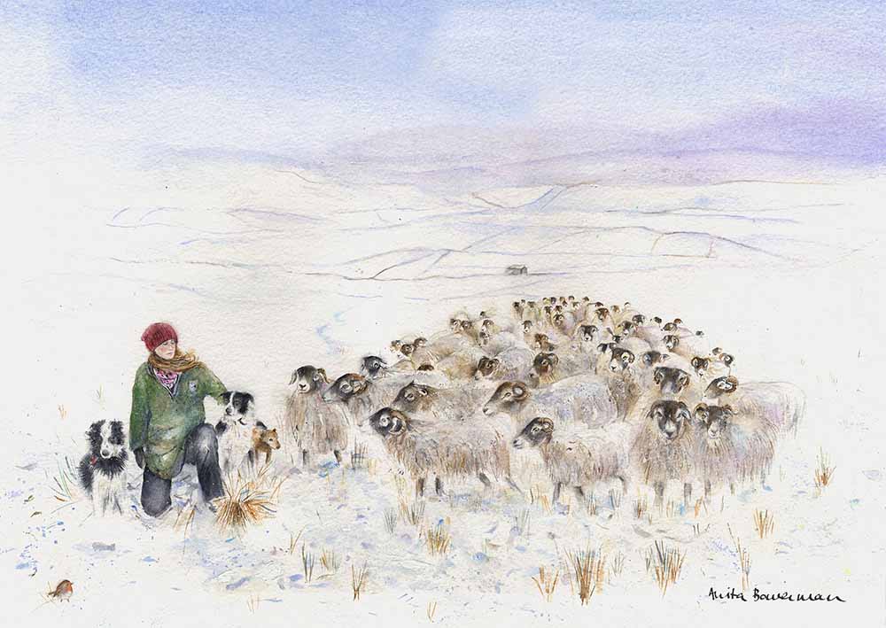 Amanda Owen, The Yorkshire Shepherdess and Her Flock at Swaledale, print