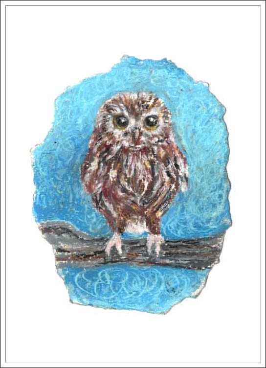 Baby Little Owl, unframed Giclée limited edition print