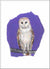 Barn Owl, unframed Giclée limited edition print