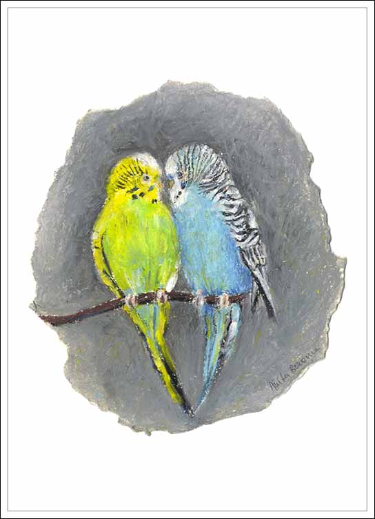 Budgie Love, unframed Giclée limited edition print