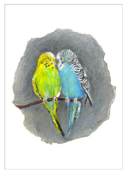 Budgie Love, unframed original drawing