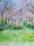 Cherry Blossom Archway at Hazlewood Castle, unframed Giclée limited edition print